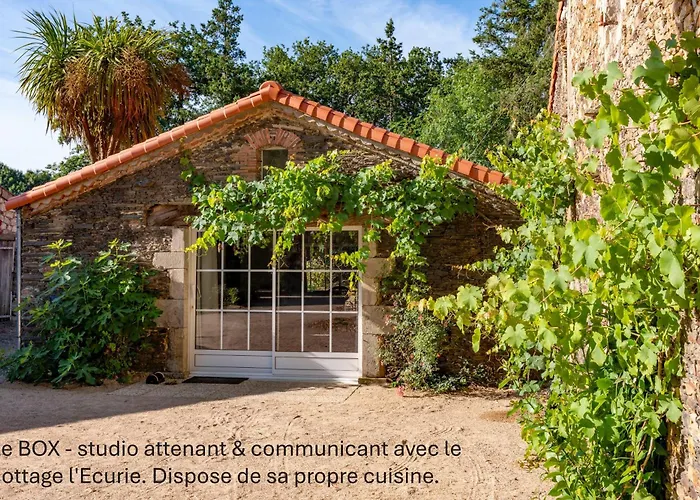 Domaine De L'etabliere - Le Hameau Sainte-Foy (Vendee)