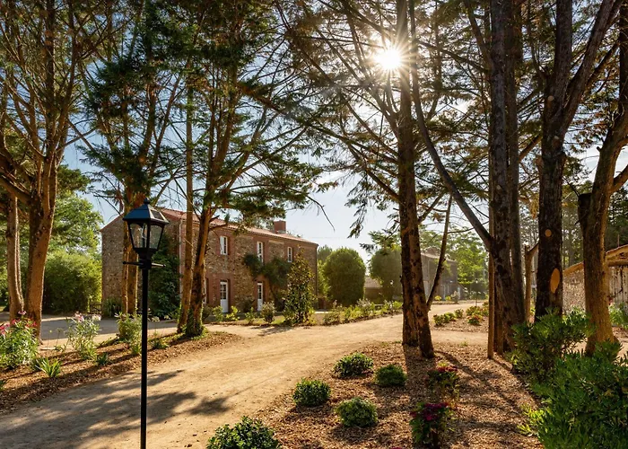 Domaine De L'etabliere - Le Hameau Sainte-Foy (Vendee)